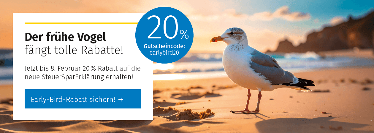 Steuertipps Banner - Steuersparerklärung