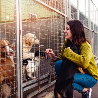 Unterstützung für den Lieblingshund im Tierheim ist keine Spende!