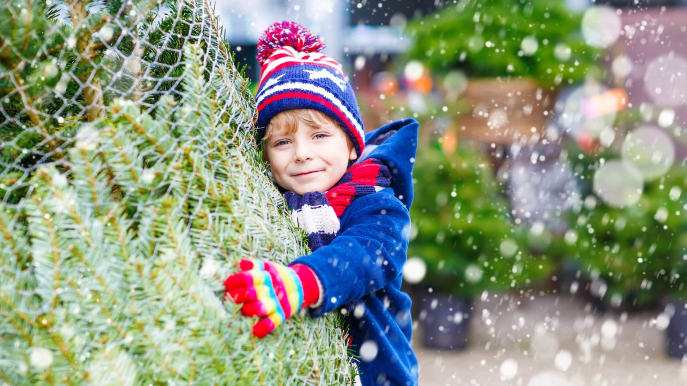 Kleine Umsatzsteuerkunde zum Thema Weihnachtsbaum