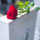 Testament: Was ist eine Auflage?