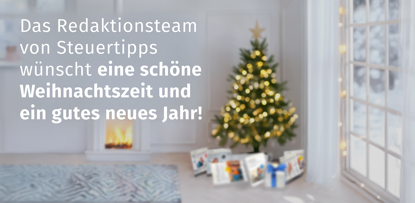 aav_Weihnachten_Steuertipps.jpg